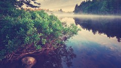 Landscapes mist rivers