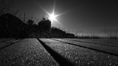 Landscapes monochrome