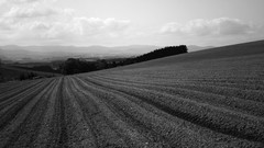 Landscapes monochrome