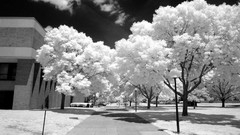 Landscapes monochrome