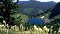Landscapes Montana white flowers lakes Wildflowers forests
