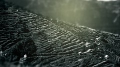 Landscapes Mountains