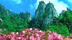 Landscapes Mountains