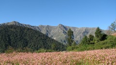 Landscapes Mountains