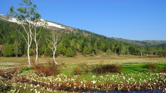 Landscapes Mountains