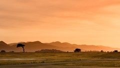 Landscapes Mountains