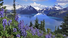 Landscapes Mountains