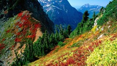 Landscapes Mountains