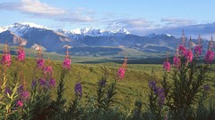 Landscapes Mountains