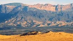 Landscapes Mountains Camels deserts