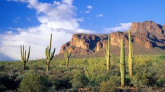 Landscapes Mountains clouds cactus Arizona forests National 