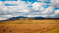 Landscapes Mountains clouds hay fields