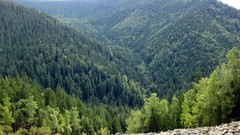 Landscapes Mountains forests