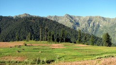 Landscapes Mountains forests