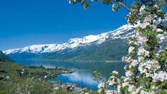 Landscapes Mountains hardanger