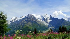 Landscapes Mountains meadows