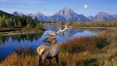 Landscapes Mountains moon Wyoming elk lakes