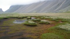 Landscapes Mountains moss Europe iceland Alexander Pohl