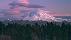 Landscapes Mountains Seattle forests Mount Rainier