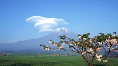 Landscapes Mountains sign spring fields mount fuji