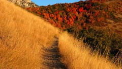 Landscapes Mountains trail