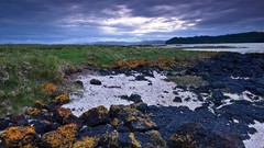 Landscapes multiscreen