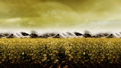 Landscapes multiscreen