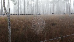 Landscapes national geographic