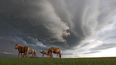 Landscapes national geographic