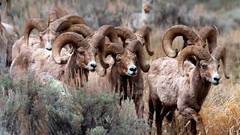 Landscapes national geographic