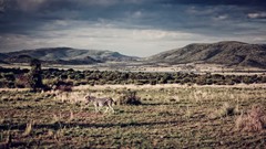 Landscapes national geographic