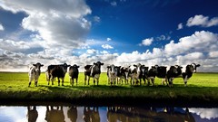 Landscapes national geographic