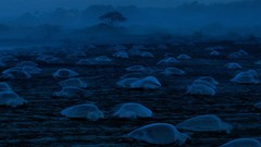 Landscapes national geographic