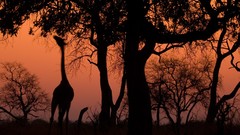 Landscapes national geographic