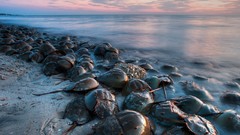 Landscapes national geographic