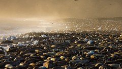 Landscapes national geographic