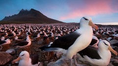 Landscapes national geographic