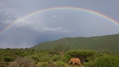 Landscapes national geographic