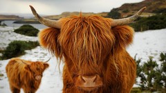 Landscapes national geographic