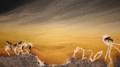 Landscapes national geographic