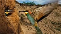 Landscapes national geographic