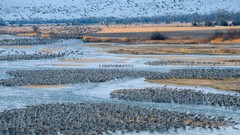 Landscapes national geographic