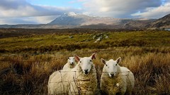 Landscapes national geographic