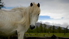 Landscapes national geographic