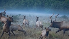 Landscapes national geographic