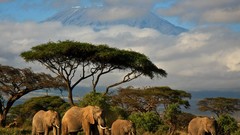 Landscapes national geographic