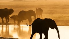 Landscapes national geographic