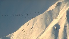 Landscapes national geographic