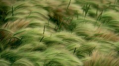 Landscapes national geographic