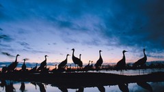 Landscapes national geographic